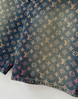 Louis Vuitton Rainbow Monogram Denim Shorts