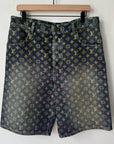 Louis Vuitton Rainbow Monogram Denim Shorts